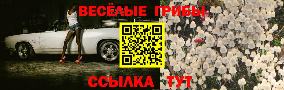 Галлюциногенные грибы Psilocybine cubensis  купить  сайты  Феодосия  Вход с VPN  Псилоцибиновые грибы MAGIC MUSHROOMS 